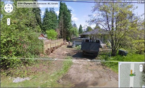 Google Street View - Tree Killer